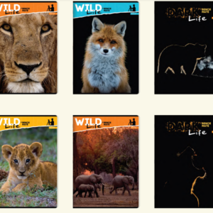 Тетратка Wild Life A4 во чиста